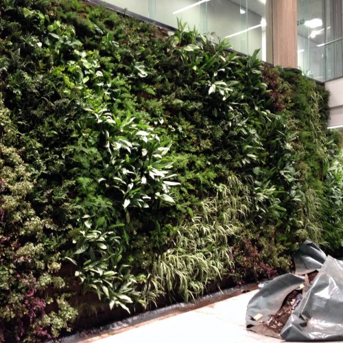 Worsley Parsons - Greenwall