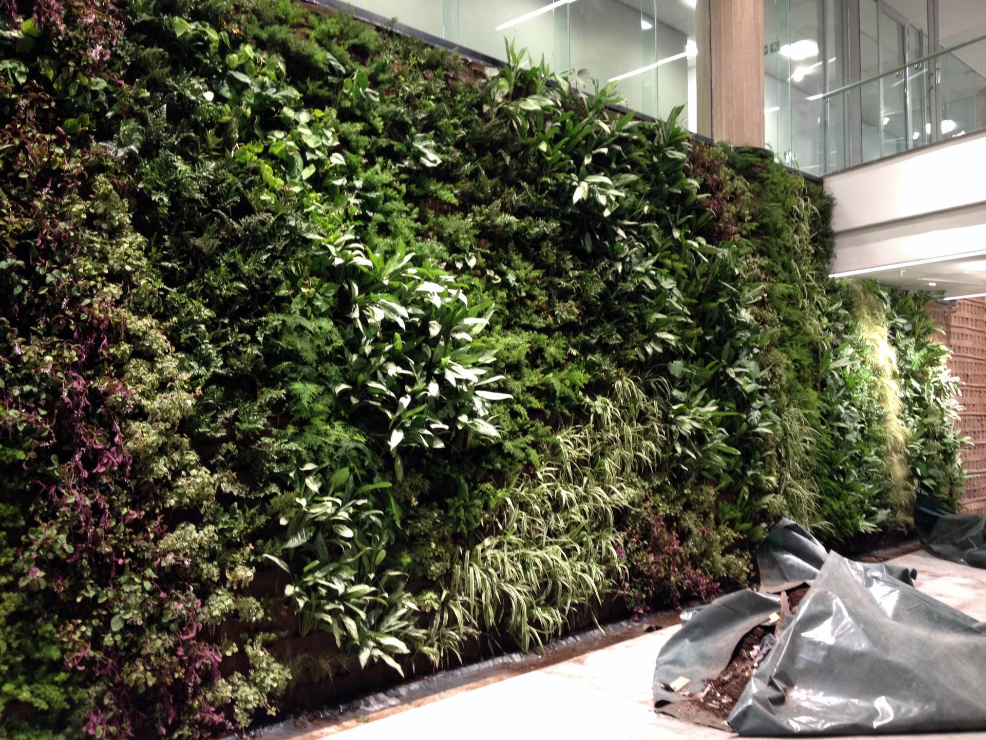 Worsley Parsons - Greenwall